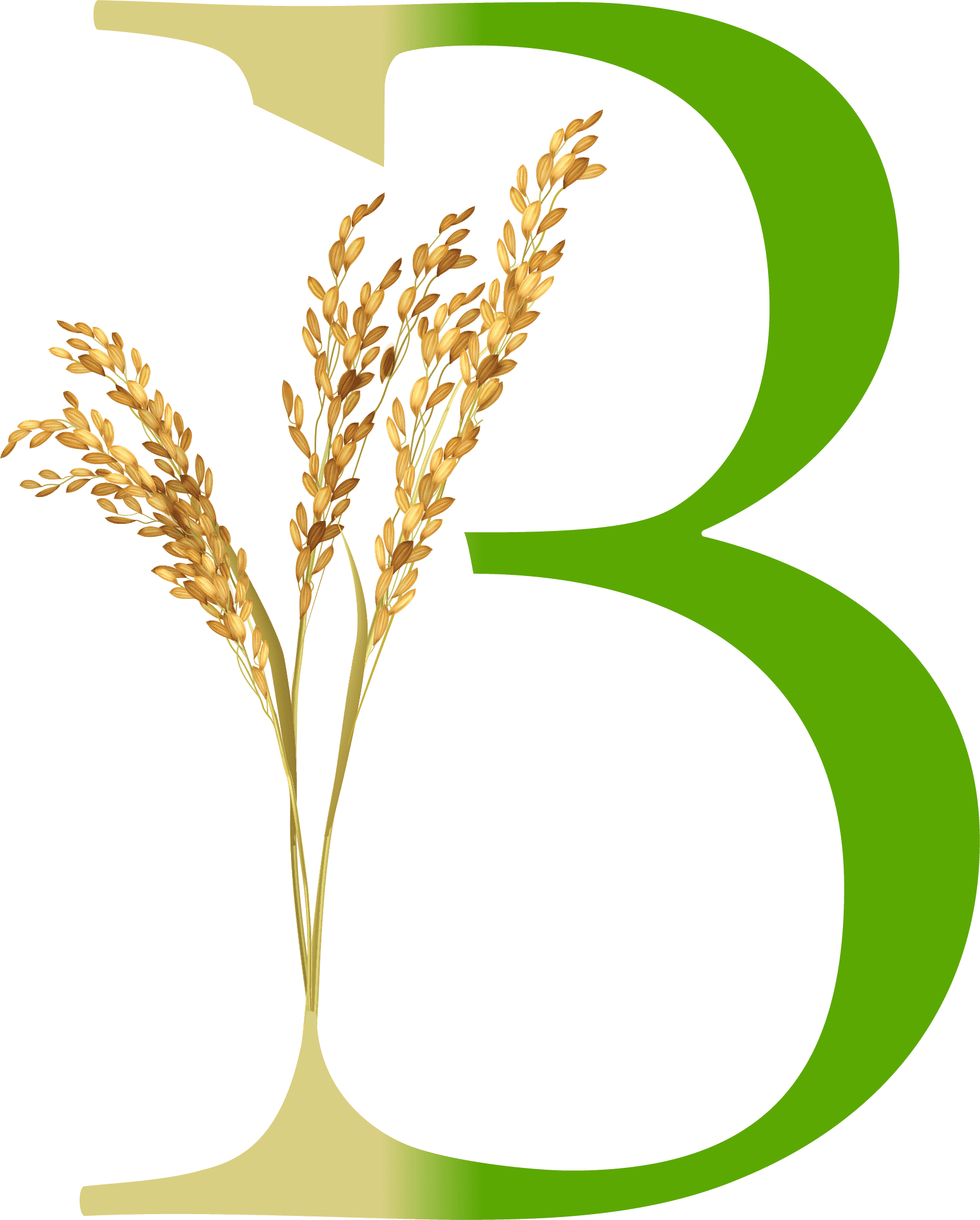 Bhardvaj Oil Udyog Logo